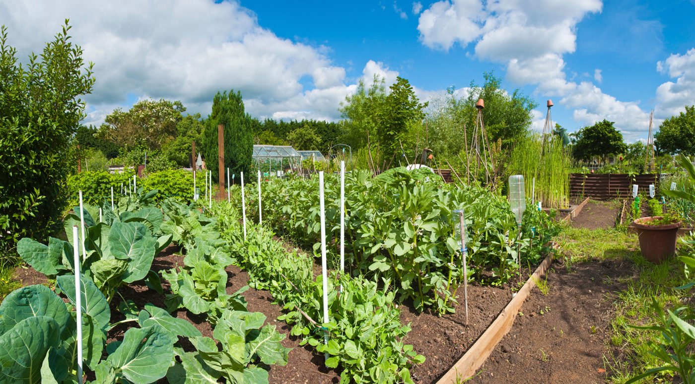 Sustainable Living Community Garden