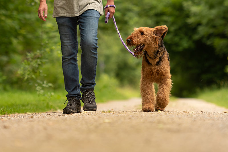 Neighborhood Walking and Hiking Trails