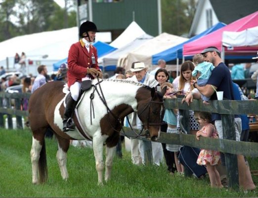 aiken virtual steeplechase