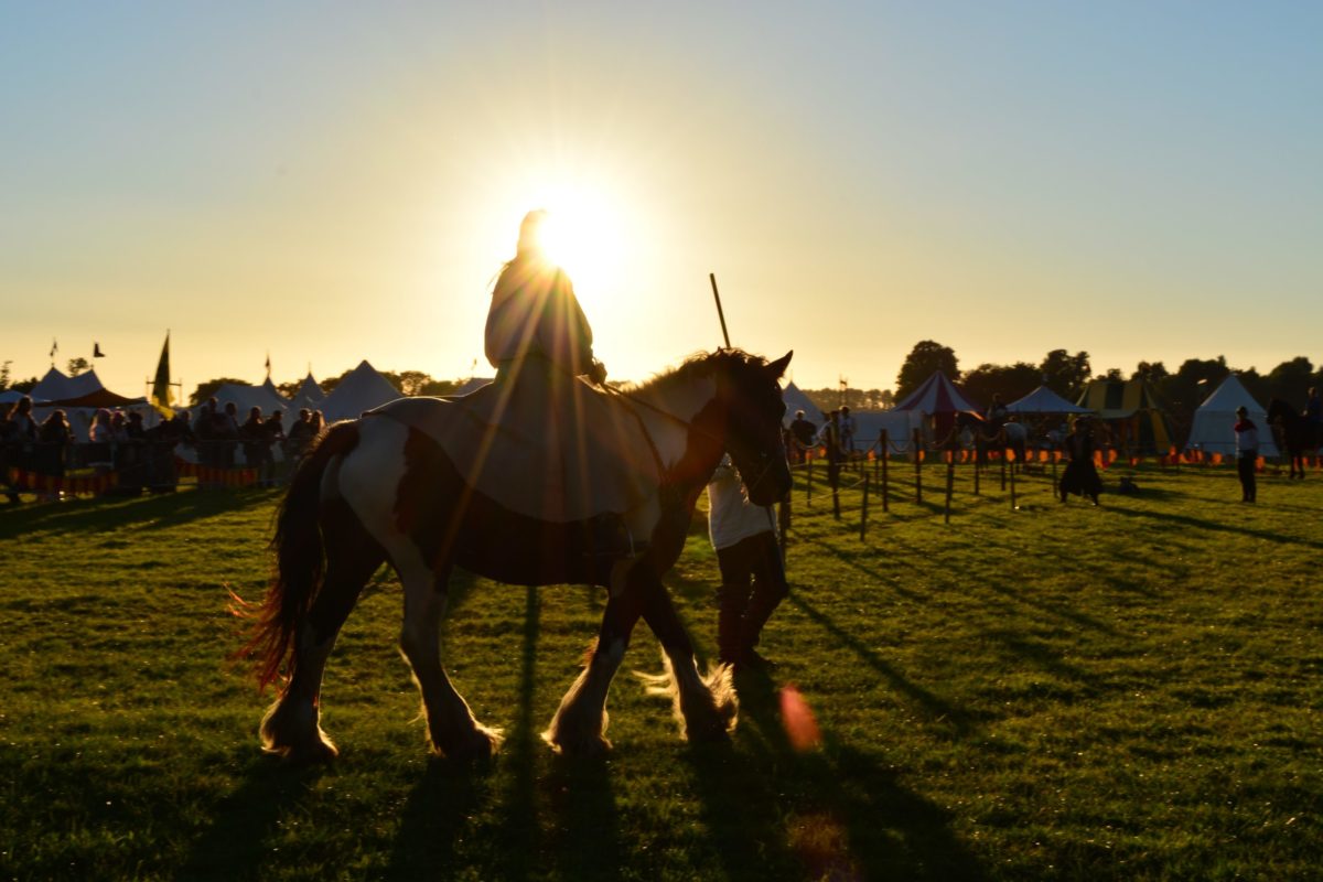 Cheltenham Festival race