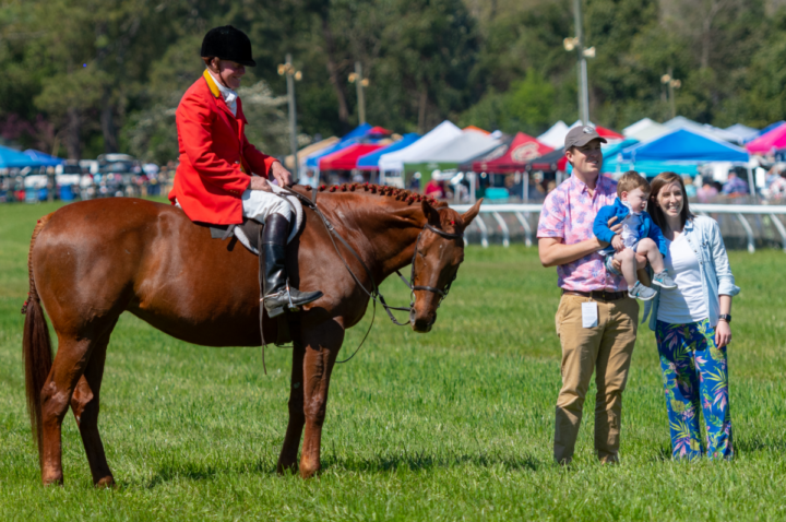 aiken virtual steeplechase
