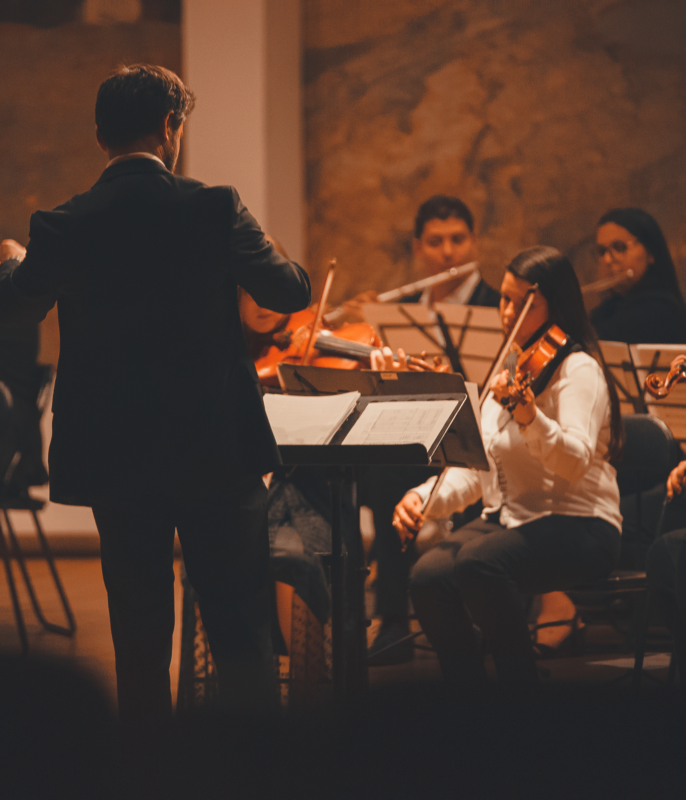 Orchestra Performance