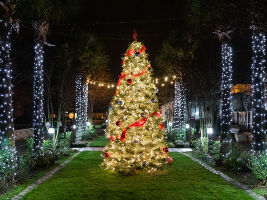 Village at Woodside Tree Lighting